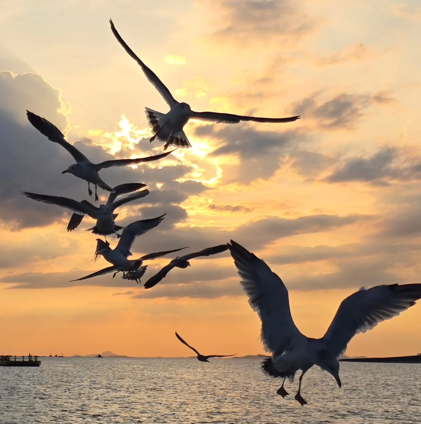 스크린샷 2025-04-16 214609.png