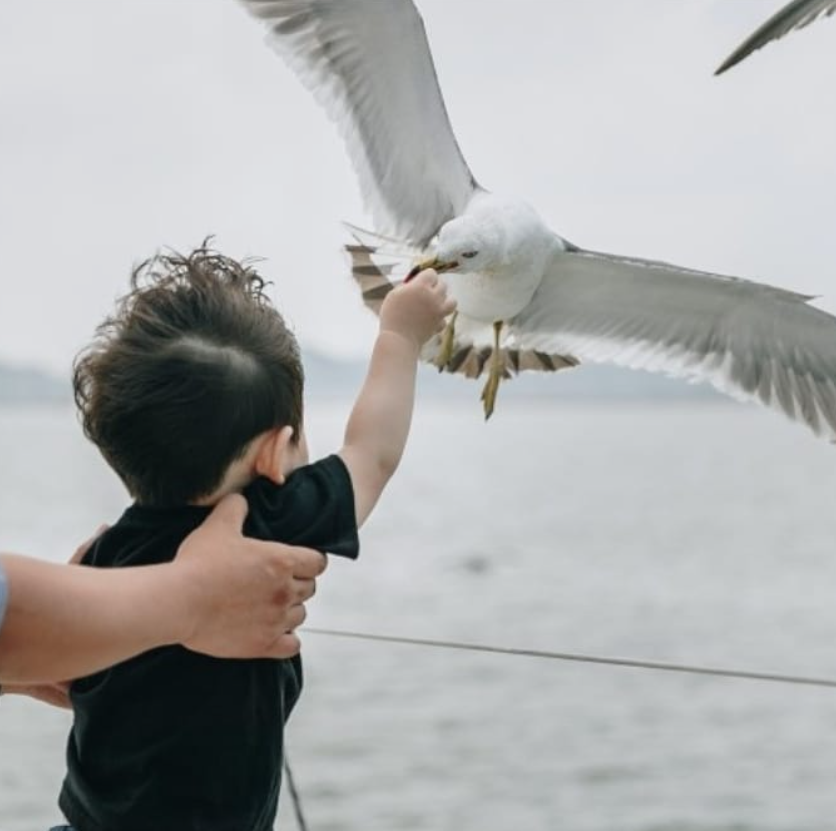 스크린샷 2025-04-16 214953.png